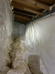 Old Vapor Barrier
