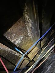 Wet Crawl Space Wood