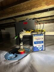 TripleSafe Sump Pump & SaniDry Dehumidifier - Jacksonville, FL