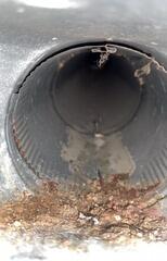 Duct Cleaning - Oskaloosa, IA