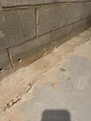 Weep Holes