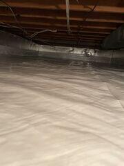 CleanSpace Vapor Barrier