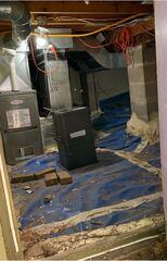 Ineffective Vapor Barrier Before DBS Repair