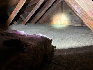 Flattened Cellulose