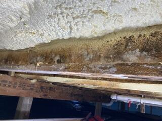 Moisture and Structural Issues Solved with Crawl Space Repair in Deer River, MN