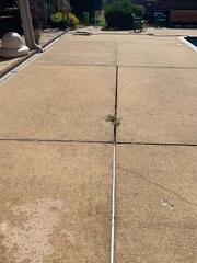 Failing Wooden Control Joints with Weed Growth