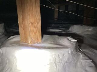 Protected Wooden Posts
