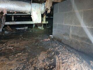 Crawl Space Before Project