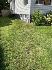 Discharge Line
