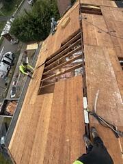 Bad Plywood Is Removed