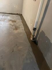WaterGuard Drainage System