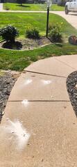Sidewalk Lifted and Leveled in Davenport, IA
