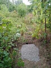Dry well