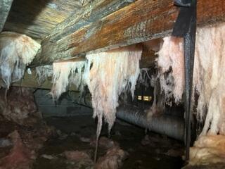 Mold and Moisture Running Rampant in this Crawlspace