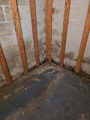 Peeling Paint and Water Damage