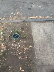 Discharge Line