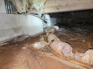 Existing Liner and Debris