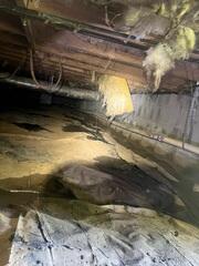 Crawl Space During Inspection