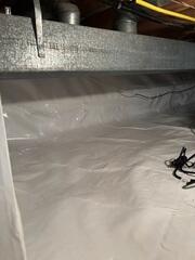 Vapor Barrier