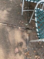 Wood Joints with Screws