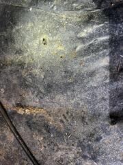 Crawl Space Repair in Nolensville, TN