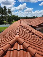 Clean Tile Roof in Valrico