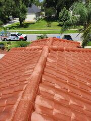Cleaned Tile Roof in Valrico