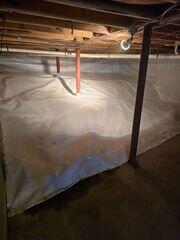 New CleanSpace