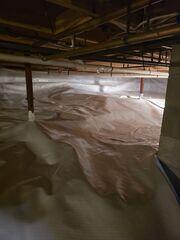 New CleanSpace