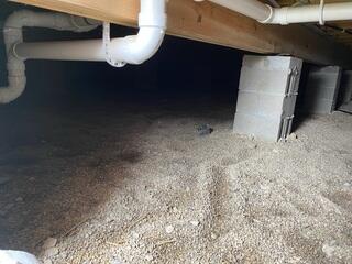 Crawl Space Repair Company in Waynesville, Ohio
