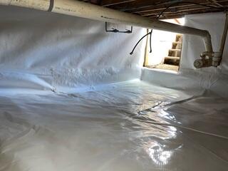New CleanSpace