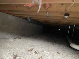 Musty Crawl Space in Jamestown, OH