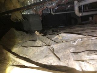 This crawl space was deteriorating quickly due to moisture intrusion. You may also notice the plastic liner covering the floor, which was ripped to shreds.