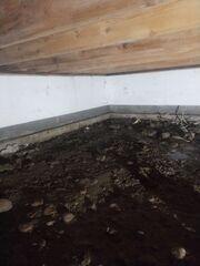 Dirt Crawl Space Before CleanSpace©