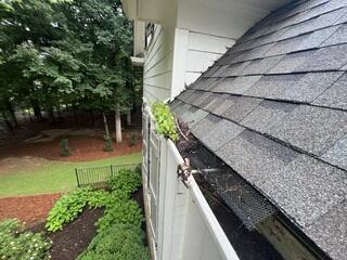 Gutter Screens missing