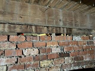 Nasty Crawl Space