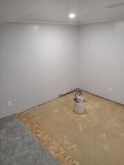 Finished wall with mould
