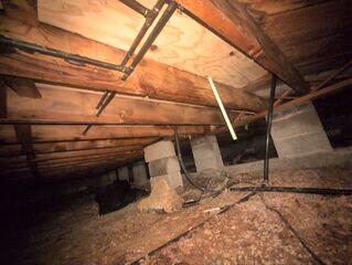 Mold remediation