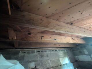 Mold remediation