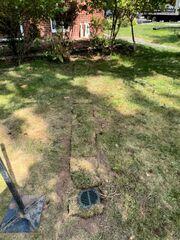 LawnScape
