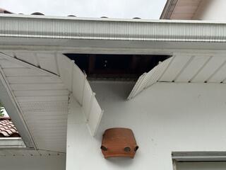 The yellow jackets nest was so heavy, the weight of it broke the soffit.