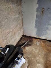 Basement - Before