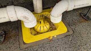 Floor Drains Clogged