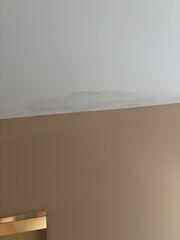Leaky Ceiling in Loveland, OH