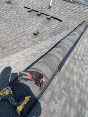 Safe From Bats, Birds, & Wildlife