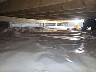 New CleanSpace
