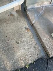 Porch Step Restored with PolyLevel®