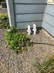 A TripleSafe© Solution To A Wet Basement In Wilder, ID