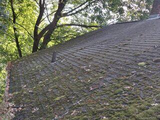 Moss on roof before treatment