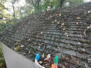 Moss on roof before treatment